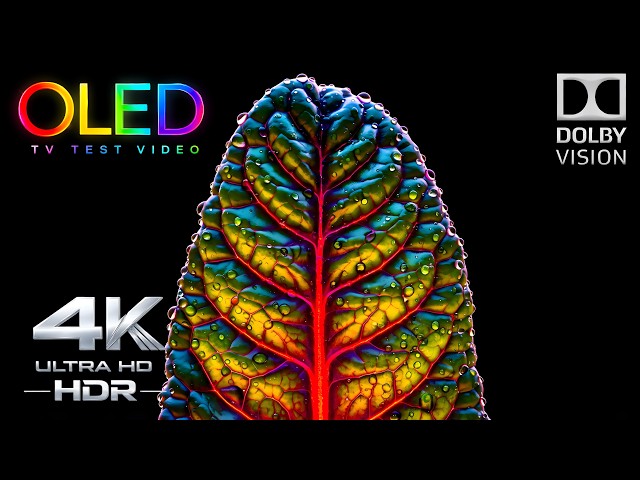 The OLED Test That Made My TV Look New | 4K HDR 60FPS Dolby Vision Demo (4K Video TV)