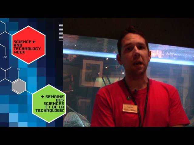 National Science and Technology Week Champion | Sacha