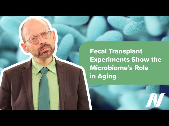 Fecal Transplant Experiments Show the Microbiome’s Role in the Aging Process