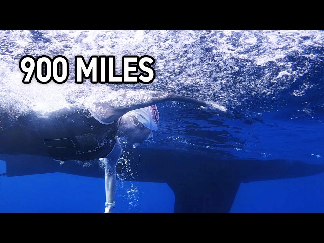 Inside Her 900-Mile California Swim…Then We Found a Great White