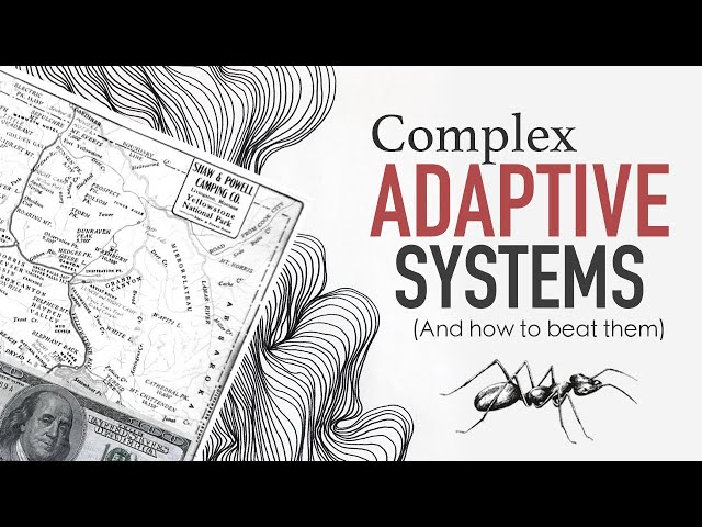 Complex Adaptive Systems (Stonk Market) and How to Beat Them