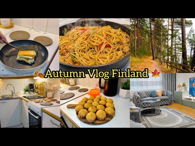 Daily Life in Finland 🍂 |Cozy Autumn Silent Vlog| Chicken Chow Mein & Cupcakes recipe| slow living