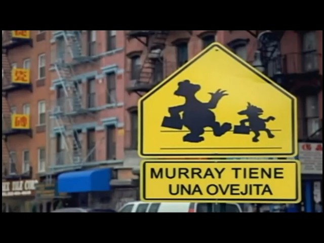 Murray tiene una ovejita. Intro en latele + Pifie