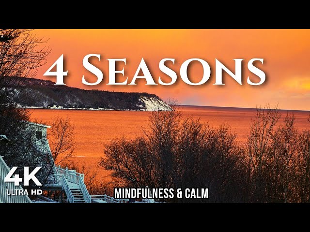 Four Seasons of Relaxation 2025 | Nature’s Serenity for Mindfulness & Calm