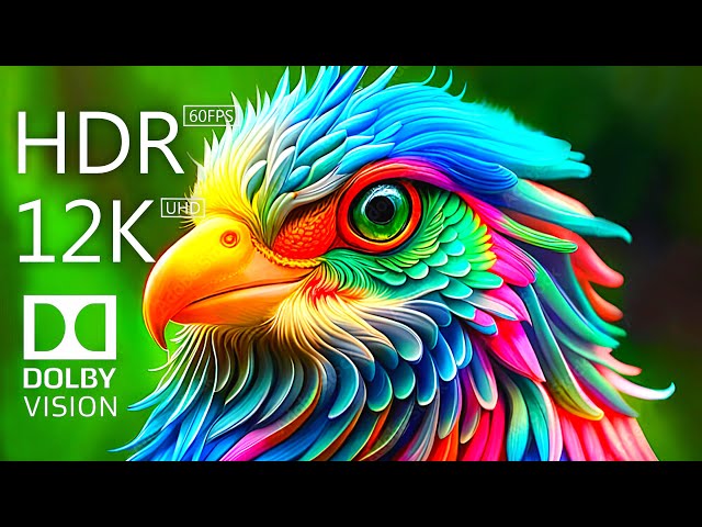 8K HDR Dolby Vision | Captivating Birds in Ultra HD - A Wildlife Spectacle!