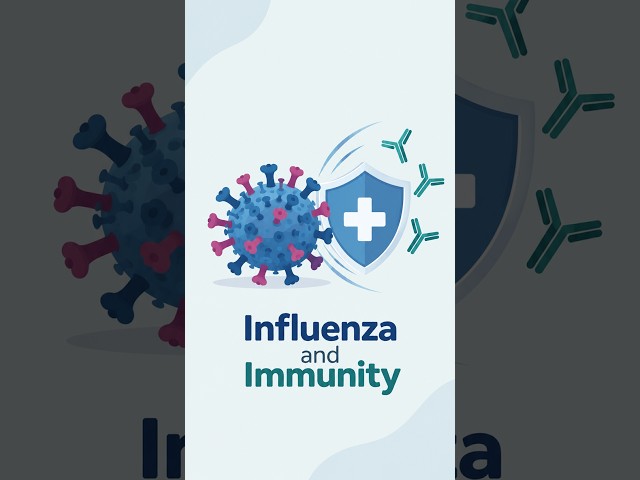 Immune System Hunts Hidden Viruses - How?