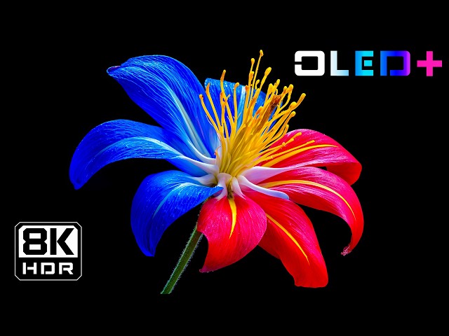 BEST OLED TEST - Dreamlike Blooming Flowers in 8K HDR | Dolby Vision™