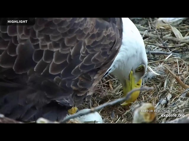 Trempealeau Eagles Live Stream