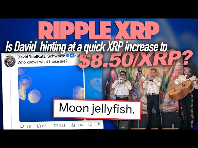 Ripple XRP: Moon Jellyfish? Is David Schwartz Hinting At A Quick XRP Increase To $8.50/XRP?