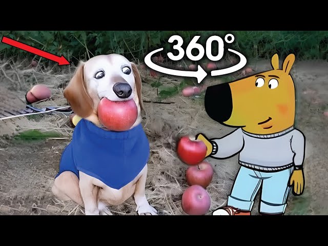 VR 360° Dog with Apple in Mouth | Apple Dog AI Memes Compilation 2 / Dog With Apple | Apple Dog Core