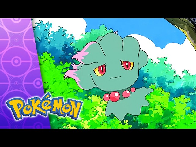 A Stand-Up Sit-Down! | POKÉMON FULL EPISODE 41 | Season 10