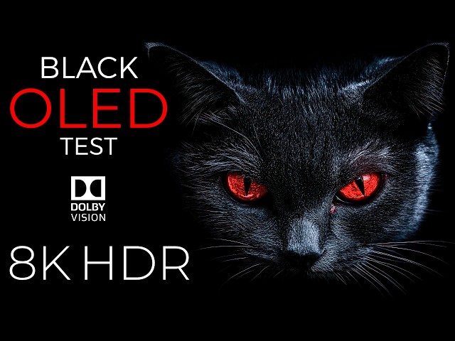 The Black OLED Test 8K HDR 60fps Dolby Vision | 8K Video Ultra HD