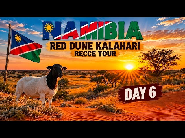 Day 6 Namibia Kalahari Red Dune Recce Tour 