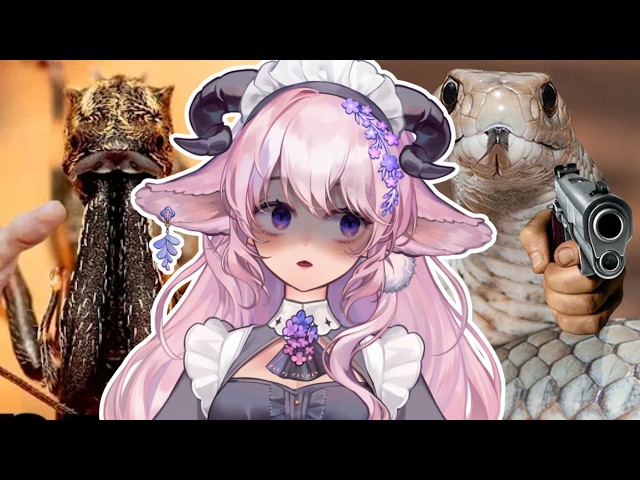 I Can't Believe Australia Is This Dangerous?! | Vtuber Reacts to More Parz