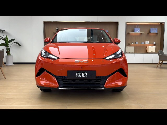 All New BYD Seagull EV 2027 - Exterior And Interior
