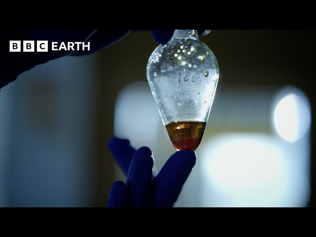 What If the Secret to Life Is Something Deadly? | BBC Earth Science