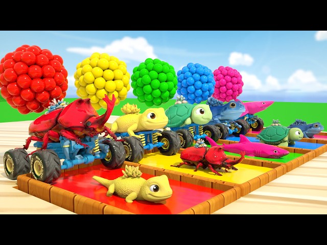 Animals & Insects for Kids | Learn Colors with Colorful Cars | Super Simple Kids Songs