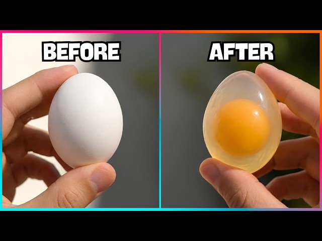38 Science Experiments Anyone Can Do | Explained