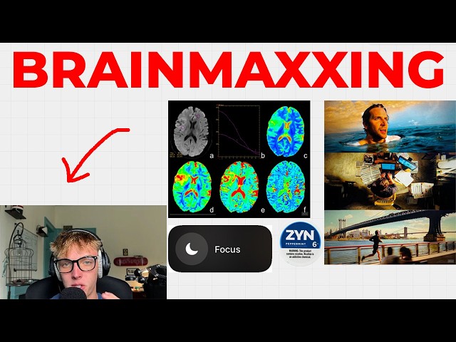 the ultimate guide to brainmaxxing.
