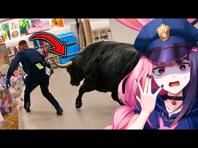 Animal Rampages But They Get Increasingly MORE SCARY!!