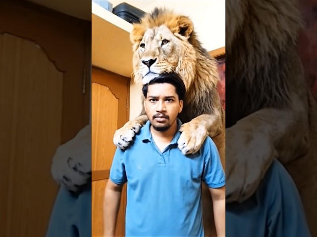 tutorial lurking lion filter 😲 #shorts #tutorial #lion #filter #youtubeshorts #trendingshorts