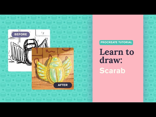 Procreate Tutorial for Beginners: Scarab Digital Drawing Step by Step