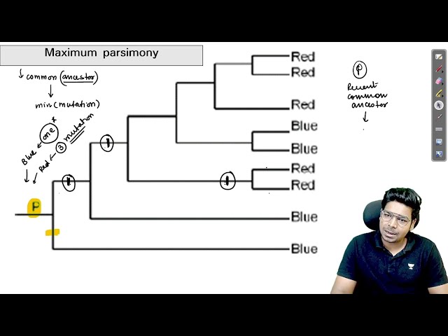 Recent Common ancestor in maximum parsimony| By Virendra Singh | CSIR | GATE | DBT | ICMR