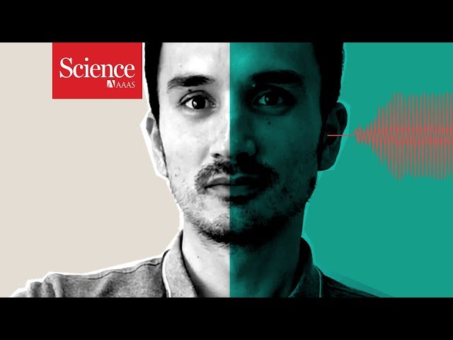 Seeing hallucinations in the brain