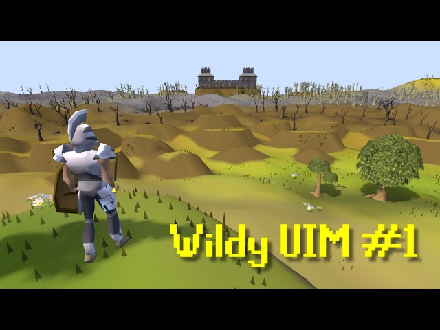 This is probably a terrible idea.. | The Wildy UIM #1