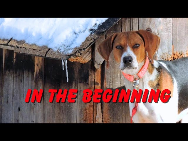 The Evolution of My YouTube Channel: Reflecting on My First Video. 12K Subs Later