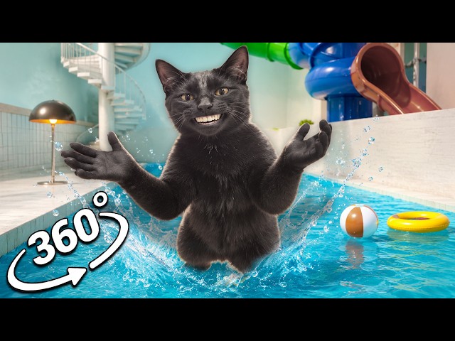 360° Clapping Cat Waterpark (Found Footage) | 4K