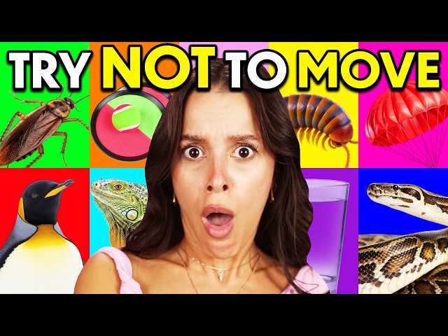 EXTREME Try Not To Move Challenge!