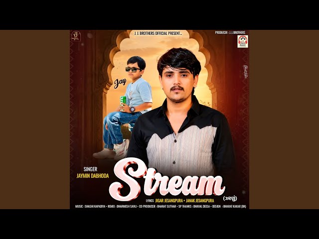 Stream (Zarnu)