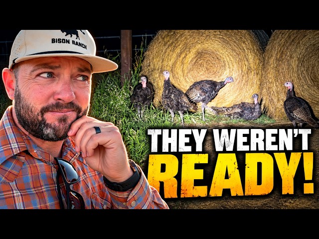 We Weren't Prepared for What Happened That Night…
