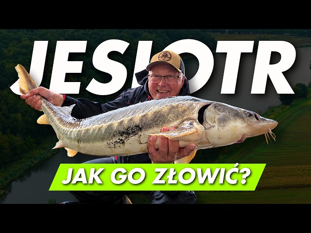 How to CATCH STURGEON EFFECTIVELY?