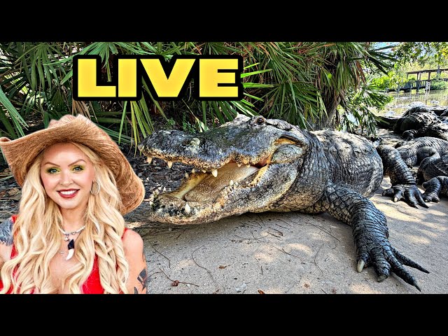 Let’s Chomp and Chat!