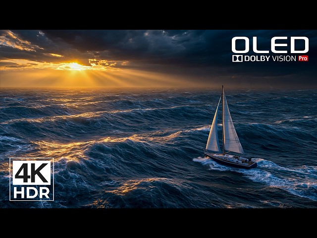 The Kind of 4K That Makes You Look Twice | HDR Dolby Vision 60FPS