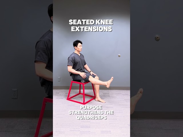 3 Seated knee Extension