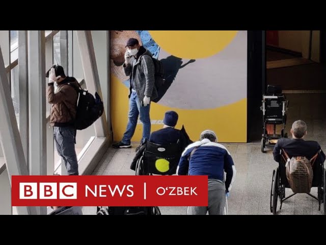 Россия, мигрантлар: 900 долларга ватанга қайтармидингиз? - Rossiya, Ўзбекистон - BBC News O'zbek