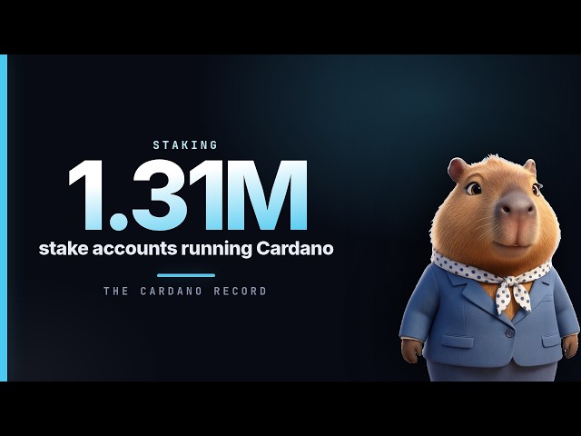 Cardano staking: 21.4 billion ADA delegated