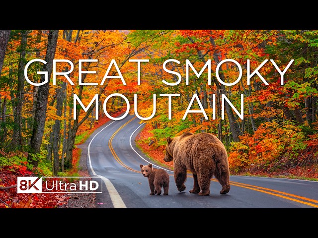 Great Smoky Mountains Autumn 8K 🍂 Vibrant Blue Ridge Fall Colors & Stunning Mountain Views