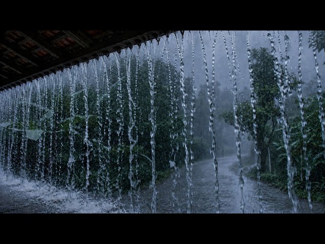 Sleep Instantly! Real Heavy Rain Pouring from a Roof (No Ads) | Deep Sleep All Night