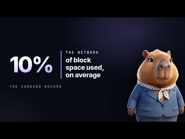 Cardano network: Average block size is 10% full
