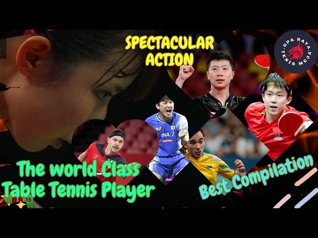 The best compilation table tennis rally
