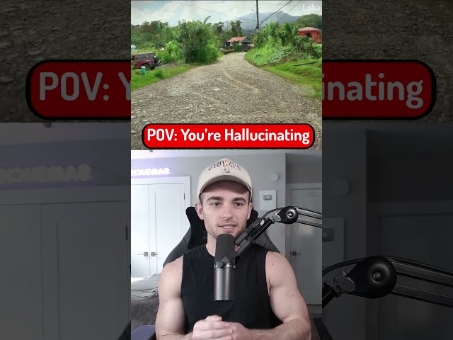 POV: You Are Hallucinating