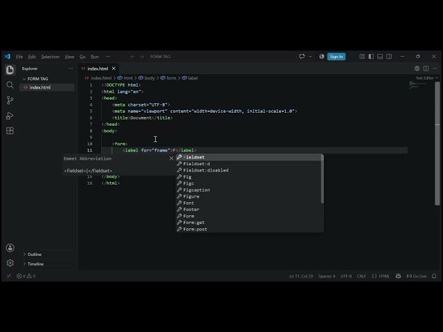 HTML For Beginners (Form container tag PT1)