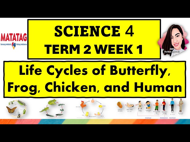 SCIENCE 4 TERM 2 WEEK 1 MATATAG CURRICULUM #science4term2week1 #kmt 