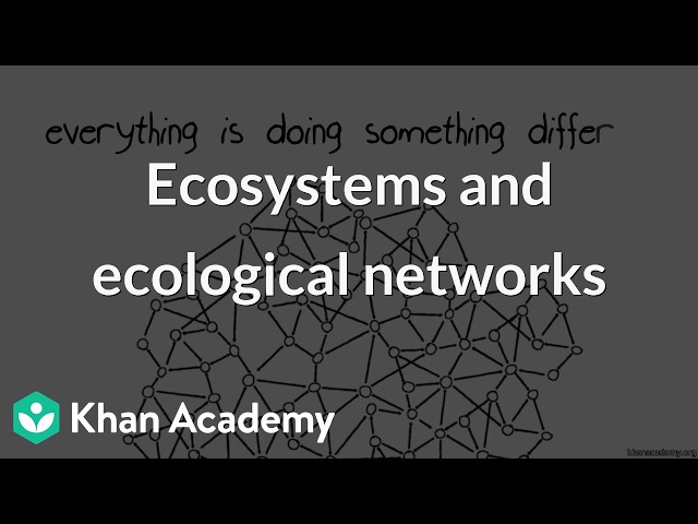 Ecosystems and ecological networks | Grade 12 | Biology | NCERT | Khan Academy (IN accent)