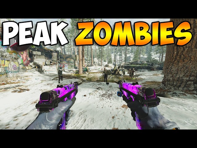 playing COLD WAR ZOMBIES In 2026 is CRAZY…