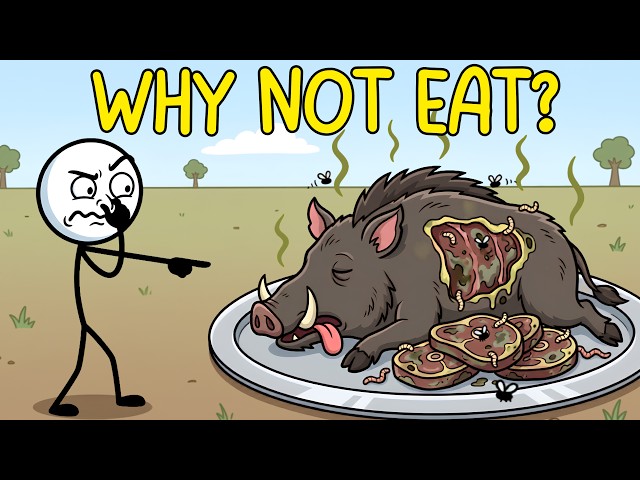 Why Don't We Eat Wild Boar Meat?